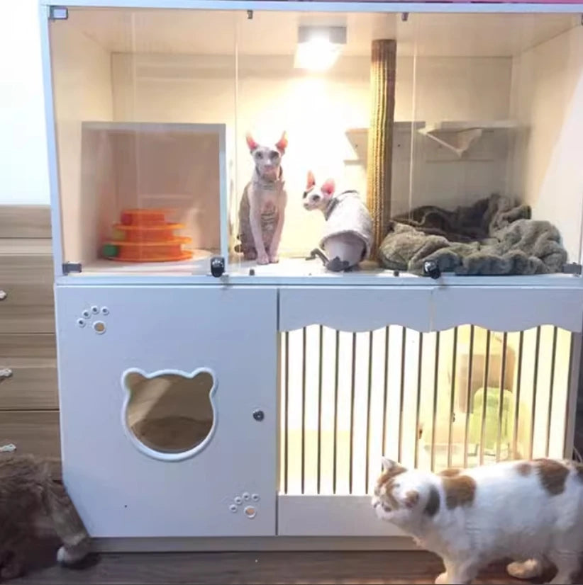 Professional Factory Tower Boarding Used Cat Cages For Sale